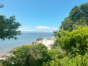 view of the sandy beach