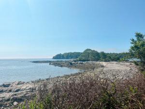 picnic point beach and ocean